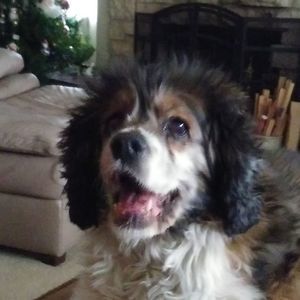 Meet your Posher, Mary